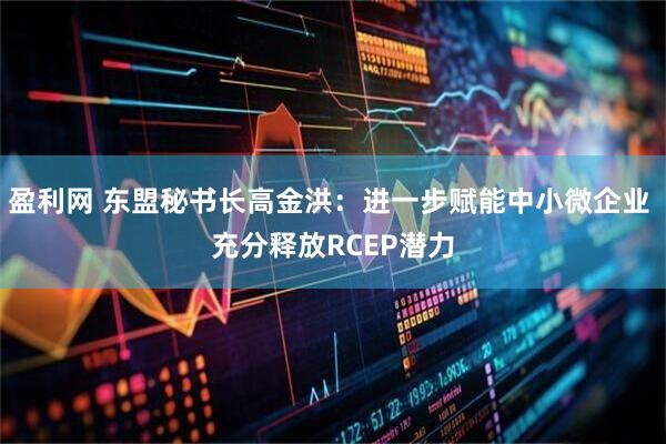 盈利网 东盟秘书长高金洪：进一步赋能中小微企业 充分释放RCEP潜力
