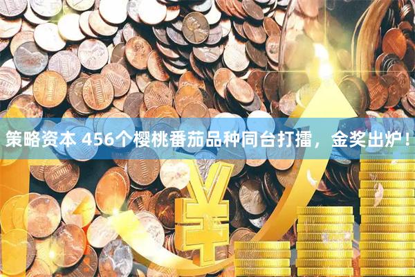 策略资本 456个樱桃番茄品种同台打擂，金奖出炉！