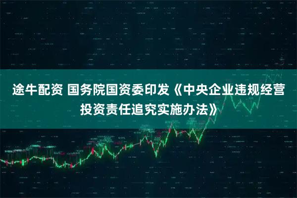 途牛配资 国务院国资委印发《中央企业违规经营投资责任追究实施办法》