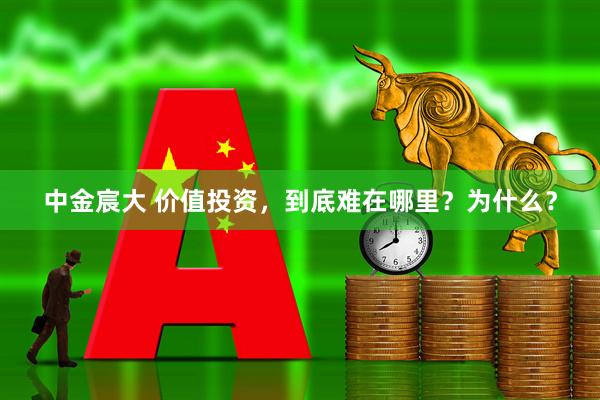 中金宸大 价值投资，到底难在哪里？为什么？