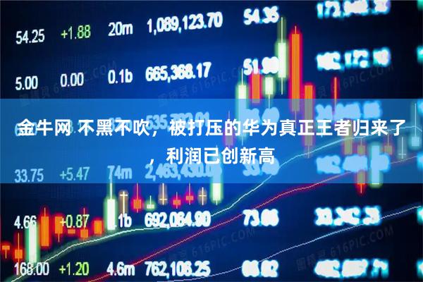 金牛网 不黑不吹，被打压的华为真正王者归来了，利润已创新高